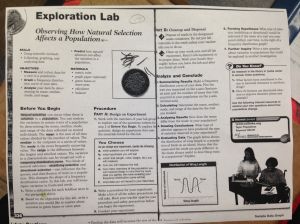 Lab nat sel of green beans